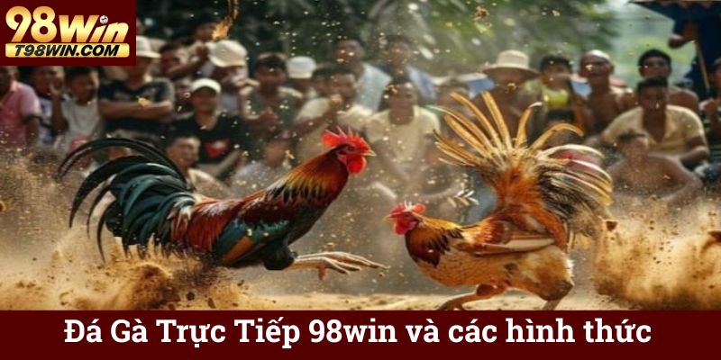 Đá Gà Trực Tiếp 98win và các hình thức
